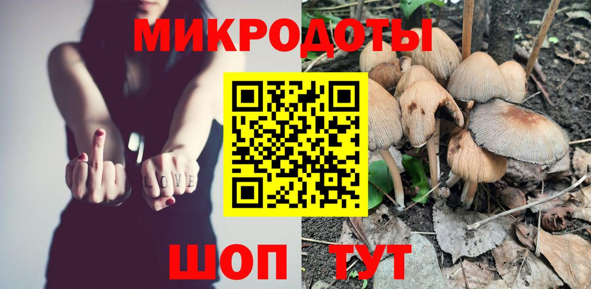 Северск  Псилоцибиновые грибы мухоморы  Вход с VPN 